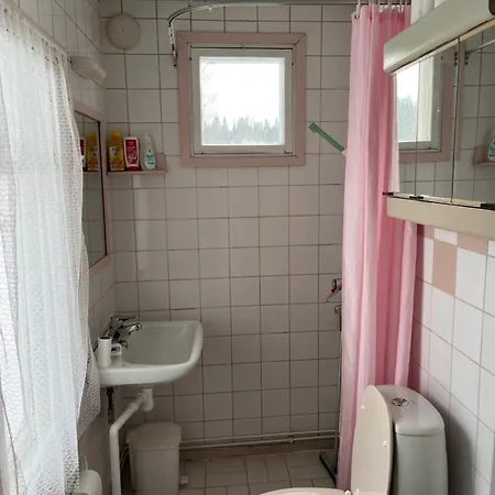 Dağ evi Lamminkangas *